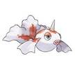 118goldeen