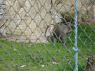 Picture 147