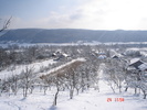 DSC08787