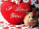 AO2XUSWCAAW9MXZCA263P2DCA2OOAIHCAKXEVOOCAGGSRAMCAO7S9ESCA3TI3QKCA0L7GPHCAATWLHACAWZFQZ1CAQUOVMFCA46X