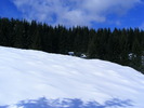 DSCF6922