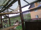 DSC02378