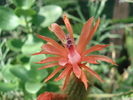 DSC09370