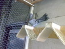 25052008409