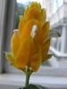 DSCF1708