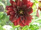 P6192020