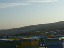 DSCF1904
