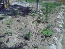 PICT0086