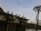 DSC00401