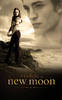 NewMoonPosternewmoonmovie5241194400640[1]