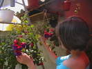 Picture 013
