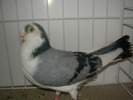 SANY0117