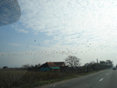 Picture 071