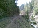 Copy of 22042008(009)
