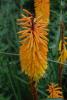 Resize of DSC_0318