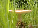 DSCF6077