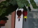 Picture 034
