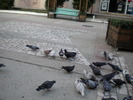 DSCN0149
