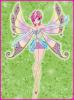 winx 24