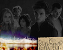 Twilight-wallpaper-twilight-series-787119_1280_1024