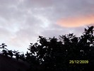 100_7919