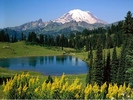 Alpine%20Scenic,%20Washington