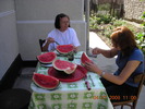 DSCN7289