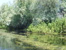 Picture 309