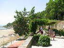 Alee cu crini, care duce la Capela Stella Maris
