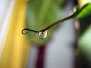 raindrop_1600x1200