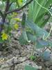 PICT0081