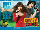 Camp-Rock-shane-grey-1615295-1024-768