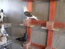 FILE0146