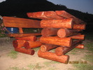 Bancuta Criss