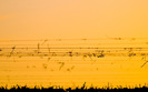 2009_vinyardinwinter_2560x1600