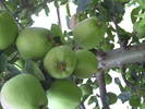 PICT0005