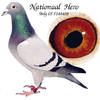 Natoinal Hero