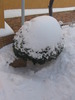 18 decembrie 029