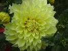 Picture 028