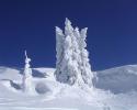 58_1280[1]