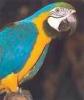 images[9]