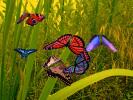 3d-amazing-butterfly-03