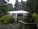 DSCN3103