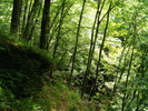 DSCF5363