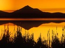 webshots270