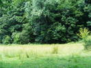 DSCF2668