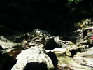 DSCF5237