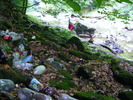 DSCF5116