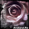 avatar_19[2]