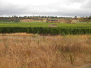 DSCN1658